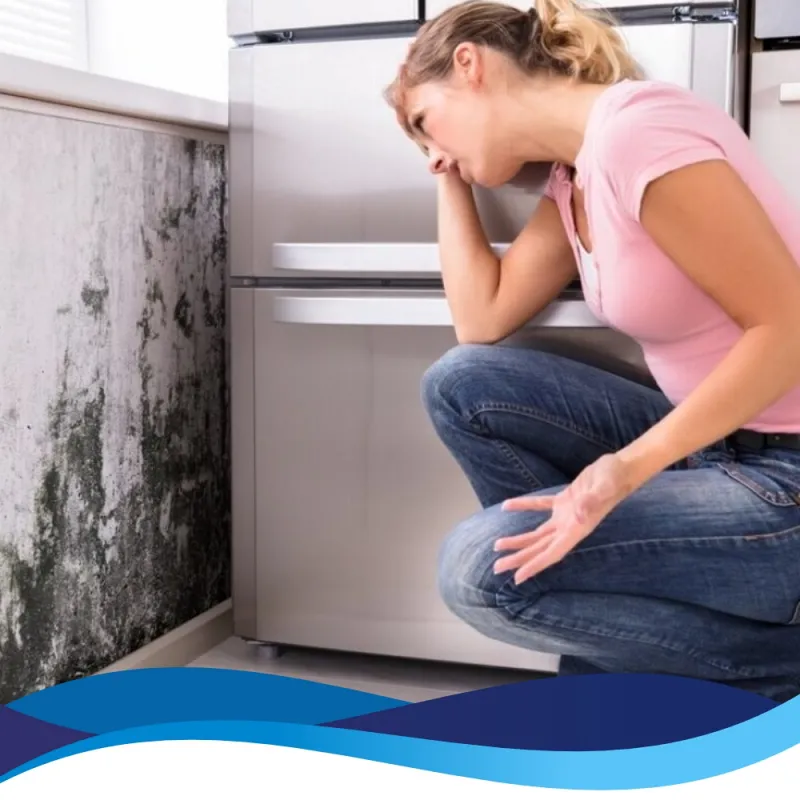 Imagem ilustrativa de Água Sanitária e eliminação de mofo