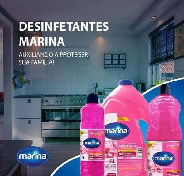 Imagem ilustrativa de Desinfetante 1l